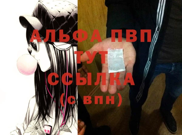 стаф Новокубанск