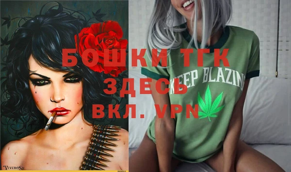 альфа пвп Новодвинск