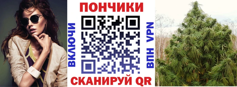 Бошки марихуана план кракен tor Устюжна